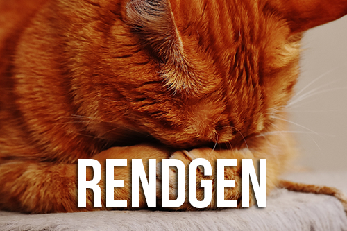 RENDGEN